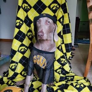 Meet your Posher, Shonna